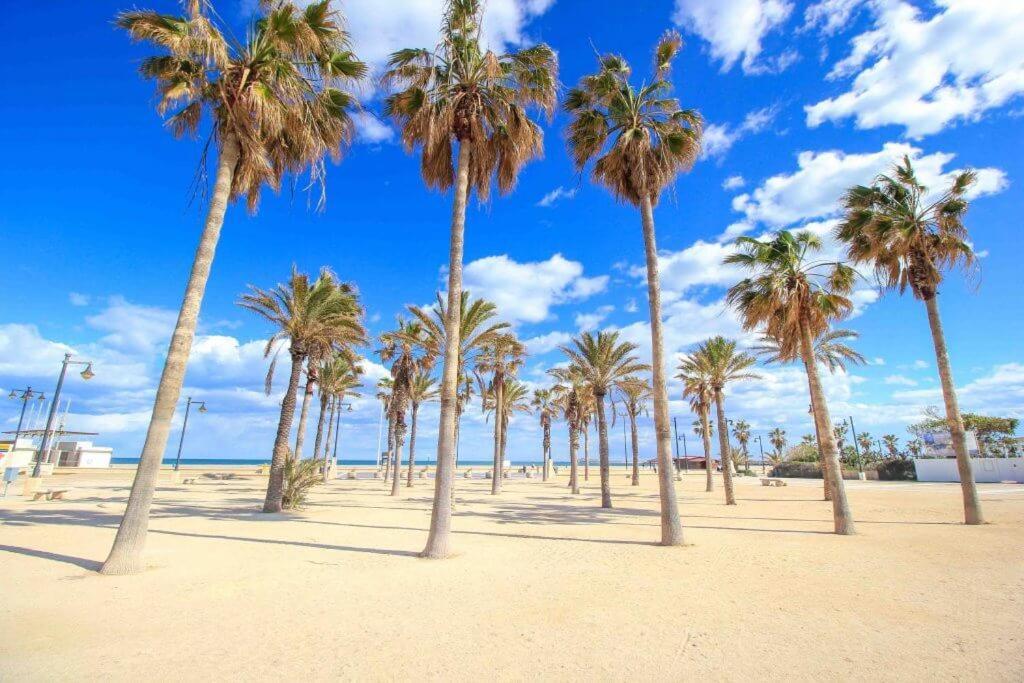 120 Sqm Loft-Style Apartment Beach Royal Marina Valencia Buitenkant foto